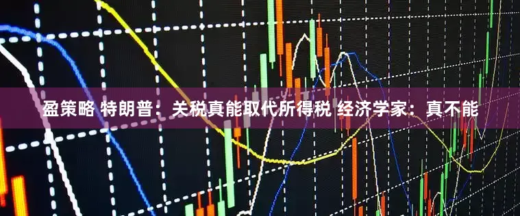 盈策略 特朗普：关税真能取代所得税 经济学家：真不能