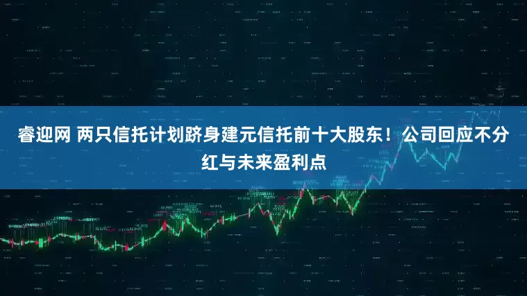 睿迎网 两只信托计划跻身建元信托前十大股东！公司回应不分红与未来盈利点