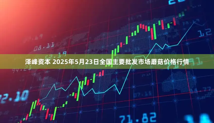 泽峰资本 2025年5月23日全国主要批发市场蘑菇价格行情