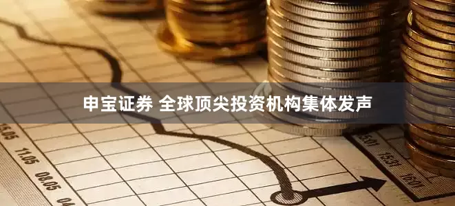 申宝证券 全球顶尖投资机构集体发声