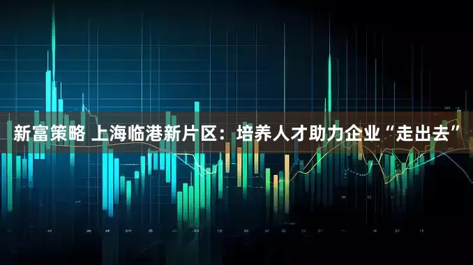 新富策略 上海临港新片区：培养人才助力企业“走出去”