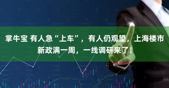 掌牛宝 有人急“上车”，有人仍观望，上海楼市新政满一周，一线调研来了！
