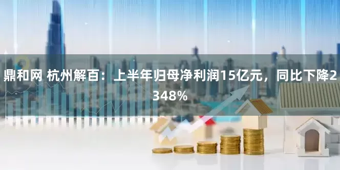 鼎和网 杭州解百：上半年归母净利润15亿元，同比下降2348%